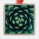 Pesquisar por natal na espanha ornamentos Natureza