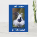 Pesquisar por pássaros exóticos cartoes Pássaro exótico