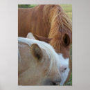 Pesquisar por horse pósteres White