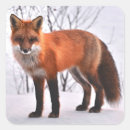 Pesquisar por natureza selvagem adesivos Neve