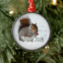 Pesquisar por esquilo natal ornamentos Neve