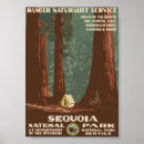 Pesquisar por sequoia pôsteres pósteres Árvores