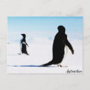 Pesquisar por antartica cartoes postais Pinguins