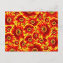 Pesquisar por banda cartoes postais Flor