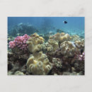 Pesquisar por grande recife de coral Subaquático