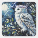 Pesquisar por coruja e lua adesivos Qualquer pessoa