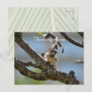 Pesquisar por birds cartoes postais Natureza
