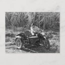 Pesquisar por lobo preto cartoes postais Branco