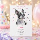 Pesquisar por boston terrier convites Animais de estimação
