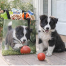 Pesquisar por de border collie bolsas Preto e branco