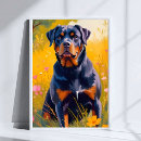 Pesquisar por rottweiler pósteres Animal de estimação
