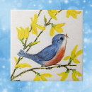 Pesquisar por passarinho azulejos Árvore