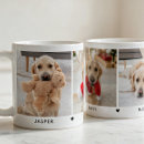 Pesquisar por foto animal canecas Para pets