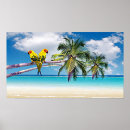 Pesquisar por céu bonito pôsteres pósteres Para eles