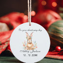 Pesquisar por coelho de coelho ornamentos Para crianças