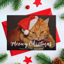 Pesquisar por gato do n cartoes Para pets