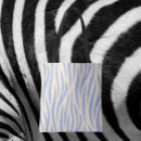 Pesquisar por zebra sacos acessorios Para todos