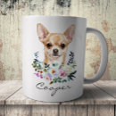 Pesquisar por chihuahua canecas Canino
