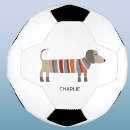 Pesquisar por animal estimação bola futebol Fofo