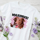 Pesquisar por imagem divertida camisetas Qualquer pessoa