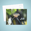 Pesquisar por luto cartoes postais Qualquer pessoa