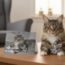 Pesquisar por cumprimento do gato Humor