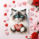 Pesquisar por ragdoll cartoes Felino