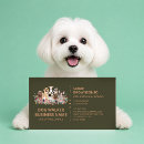 Pesquisar por pet boutique cartao de visita Caminhoneiro