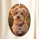 Pesquisar por peludo ornamentos Moderno
