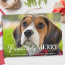 Pesquisar por cachorrinhos natal cartoes Animais de estimação