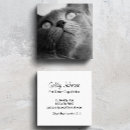 Pesquisar por foto gato padrao cartao de visita Qualquer pessoa