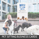 Pesquisar por pet sitting cartao de visita Gatos