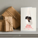 Pesquisar por daschund cartoes postais Doxie