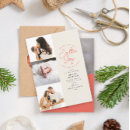 Pesquisar por vermelho coral cartoes Para todos