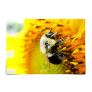 Pesquisar por bumblebee cartoes Amarelo