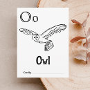 Pesquisar por corujas coloridas cartoes postais Animais da floresta