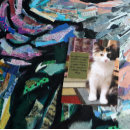 Pesquisar por desculpa cartoes postais Gatinho