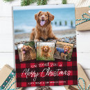 Pesquisar por damo cartoes Para todos