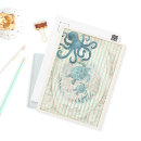 Pesquisar por polvo cartoes postais Tartaruga