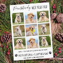 Pesquisar por quarentena cartoes Para todos