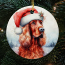 Pesquisar por irlandês ornamentos Para pets