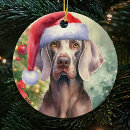 Pesquisar por santos ornamentos Para pets