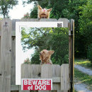 Pesquisar por yorkshire terrier cartoes postais cão