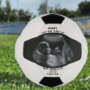 Pesquisar por sonogram Foto