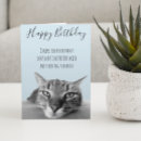 Pesquisar por gato mal humorado cartoes Aniversário