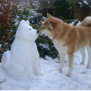 Pesquisar por beijo grande cartoes postais Para todos