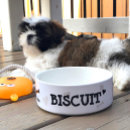 Pesquisar por cães acessórios Tigela de cão