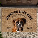 Pesquisar por dog lover Animais de companhia