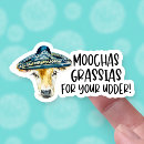 Pesquisar por chapéu mexicano adesivos Qualquer pessoa