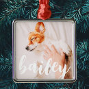 Pesquisar por gato feliz ornamentos Foto